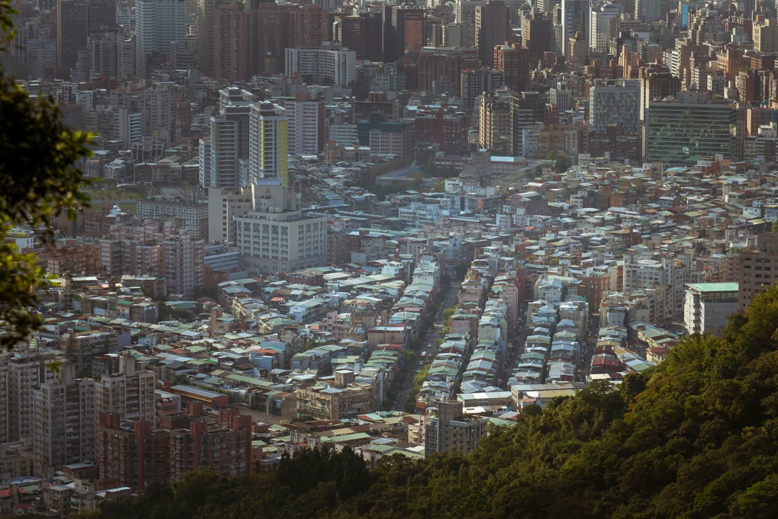 Vista de una ciudad muy densa desde una ladera arbolada